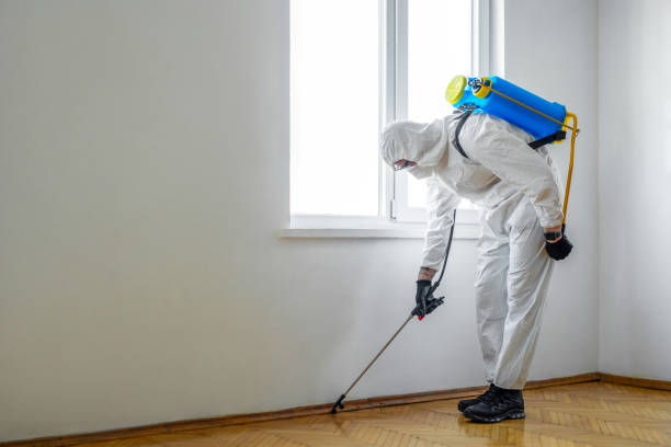 Pest Prevention Services in Brighton, CO