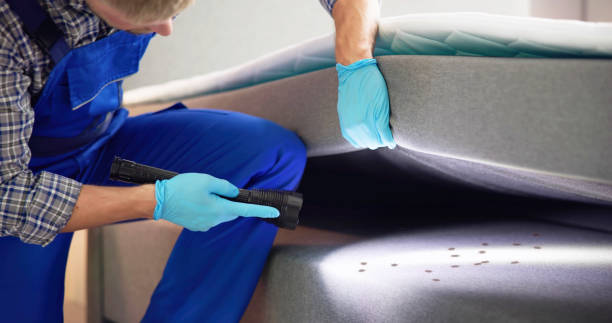 Reliable Brighton, CO Pest Control Solutions