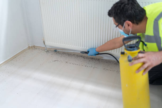 Best Cockroach Control Services  in Brighton, CO